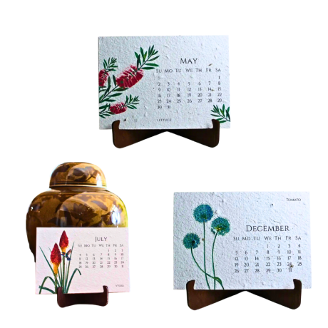 Website size pics (27)
